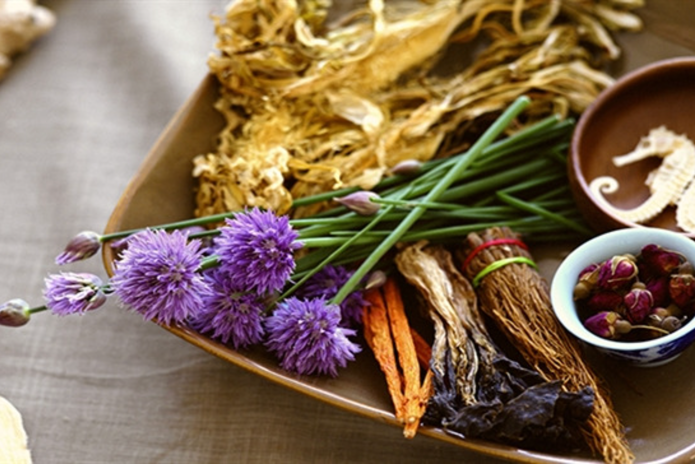 All You Need To Know About Alternative Therapies