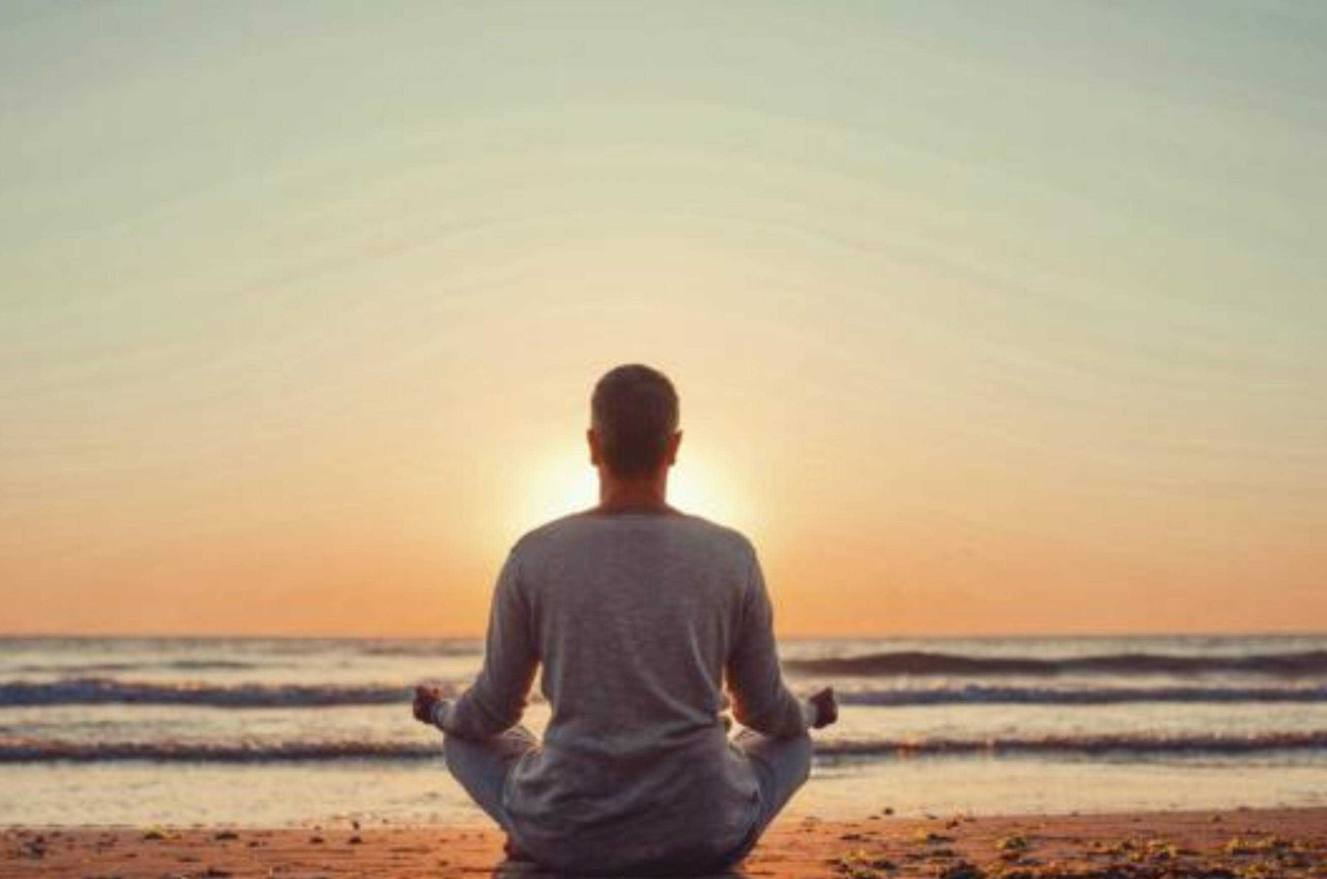 The Subtle Art Of Mindfulness